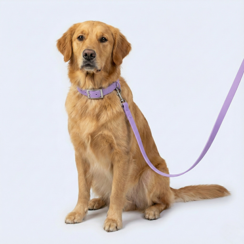 Daily Leash Lilac