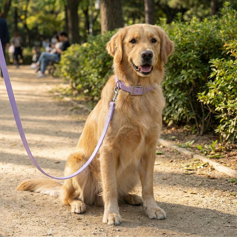Daily Leash Lilac