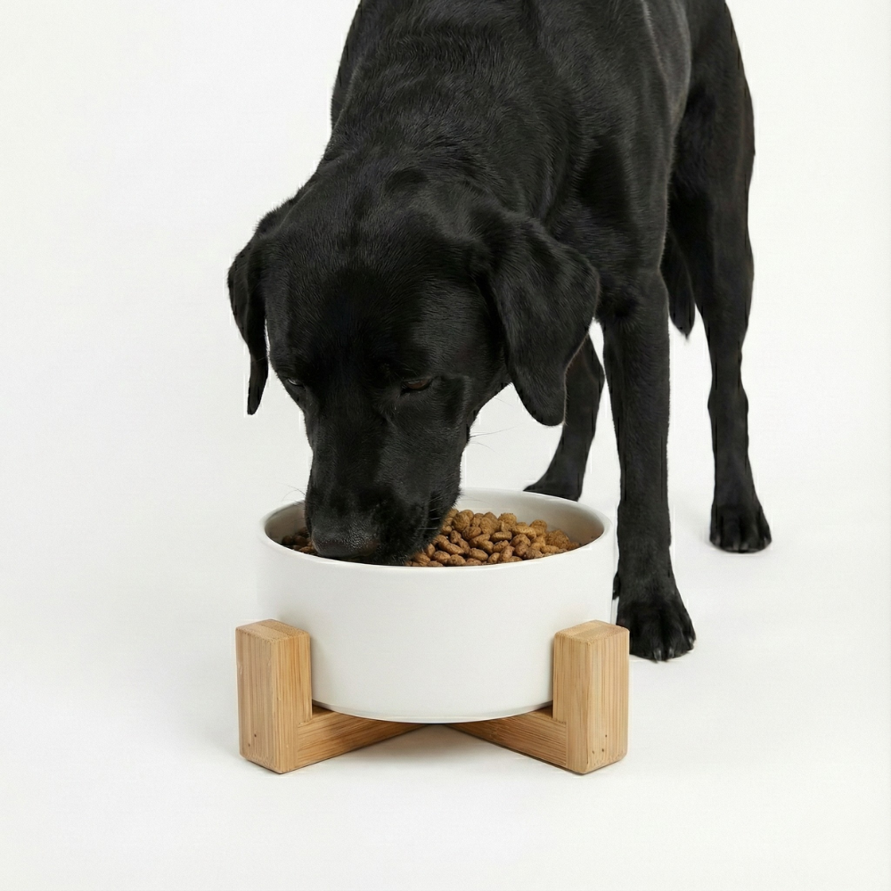 Food Bowl