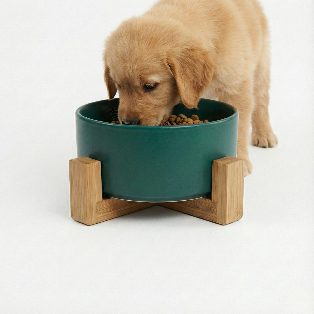 Food Bowl
